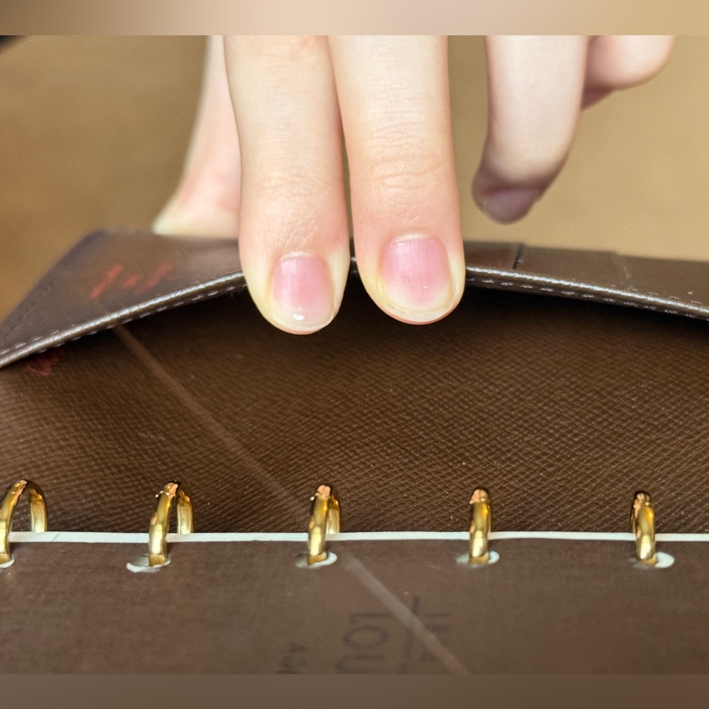 Louis Vuitton Damier Ebene - Picture 9 of 17